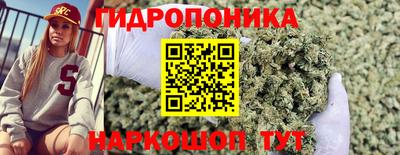 стаф Ипатово