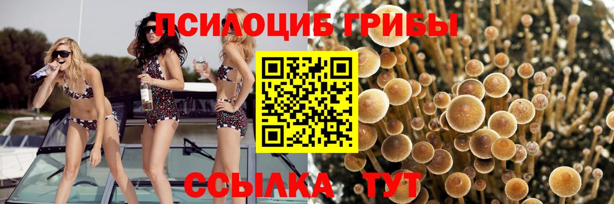 купить наркотик  Галлюциногенные грибы ЛСД  Вход с VPN  Магадан 